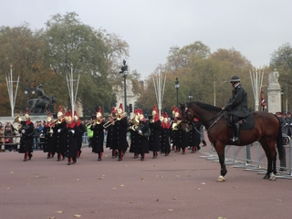 201211152016.jpg