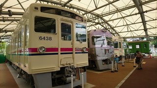 DSC_3604.JPG