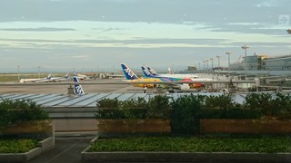 DSC_3626.JPG